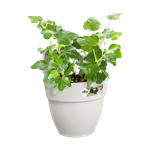 vibia campana easy hanger small zijdewit